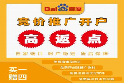 某公司sem竞价推广托管案例详解